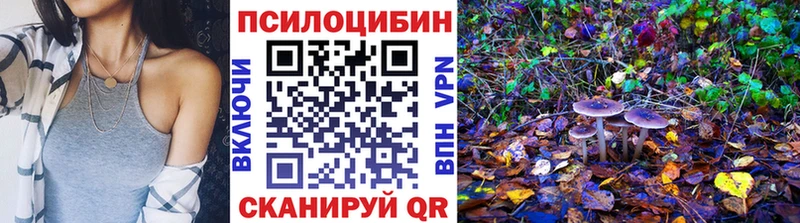 мега онион  Холм  Галлюциногенные грибы Cubensis  закладки 